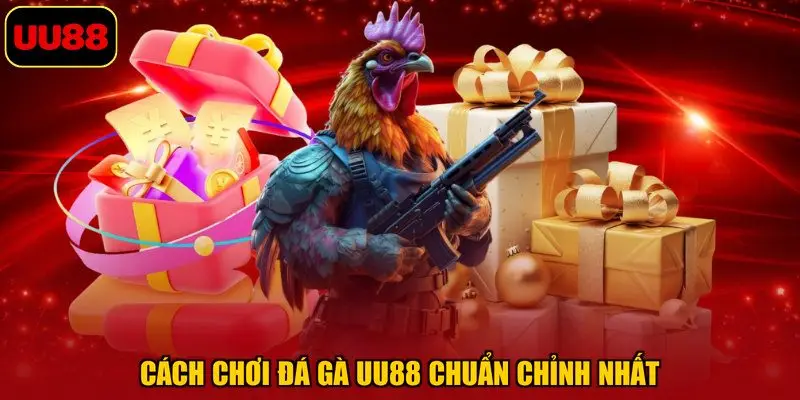 Cách chơi đá gà UU88 chuẩn chỉnh nhất
